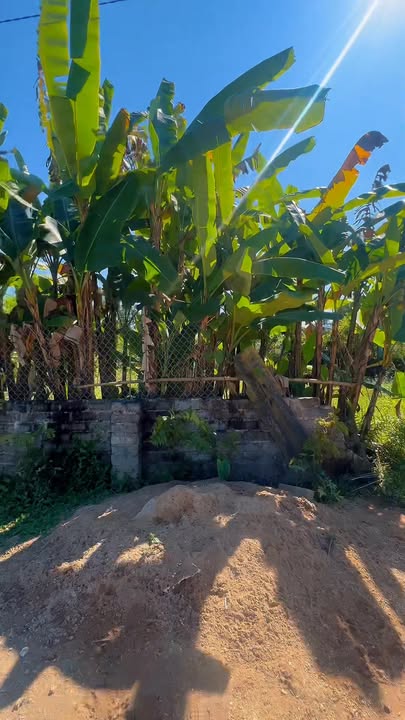 Đất thổ cư phường Thịnh Đán 98m² giá 1.7 tỷ - Vị trí đẹp, không ngập lụt!