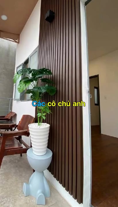 Nhà Bán Hẻm Xe Hơi Phường 7, Quận 6 - Diện Tích 41m² Chỉ 5 Tỷ!