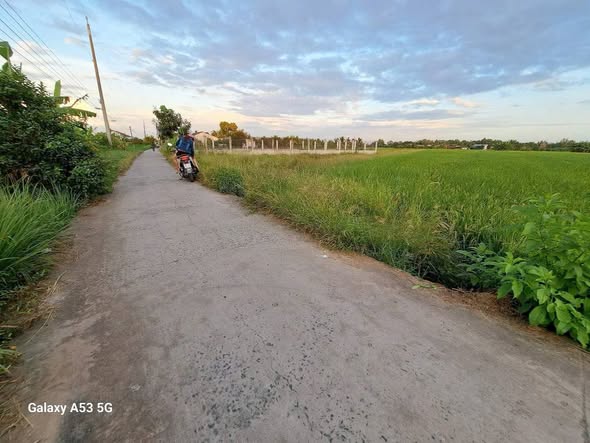 Đất nền 5200m² xã Long Cang, Tây Ninh - Giá 7 tỷ, mặt tiền đường Cây Mắm