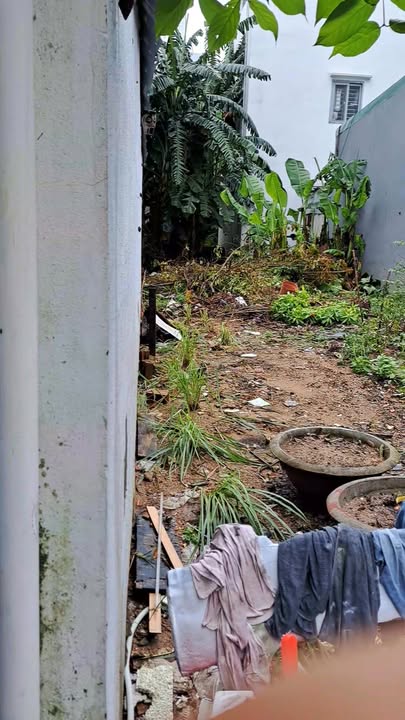 Đất nền chính chủ Đường 29/3, Hòa Xuân, 91.25m² giá chỉ 8 tỷ - Cơ hội đầu tư tuyệt vời!