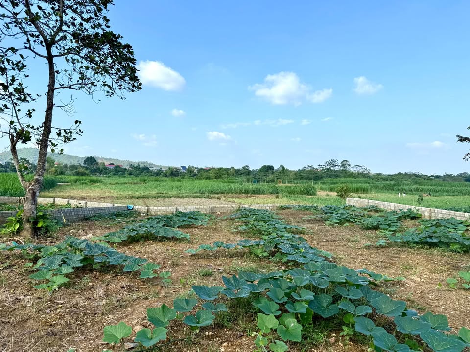 Đất nền Yên Bài, Ba Vì 760m² giá chỉ 5.7 triệu/m² - Cơ hội đầu tư tuyệt vời!