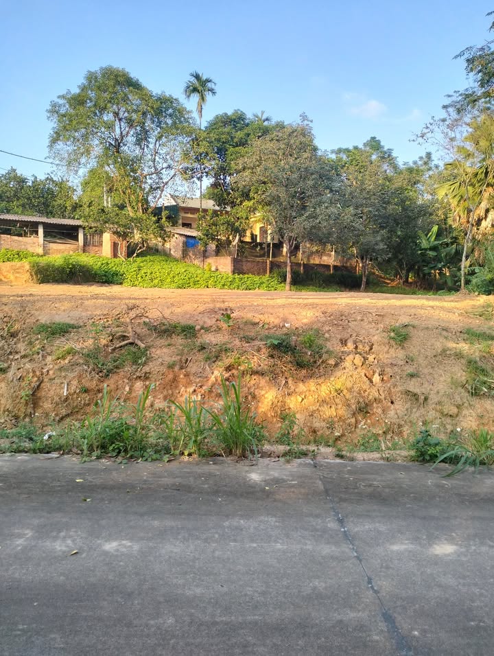 Đất thổ cư 100m² tại xã Phù Ninh 368m² - Đường bê tông ô tô tránh nhau thoải mái!