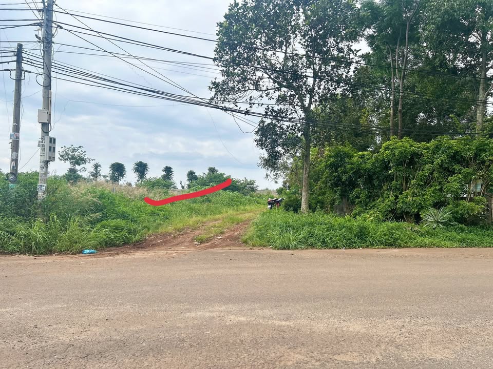 Đất thổ cư khu Nam Sơn, Buôn Ma Thuột 145m² giá chỉ 2.5 tỷ - Tiềm năng đầu tư cao!