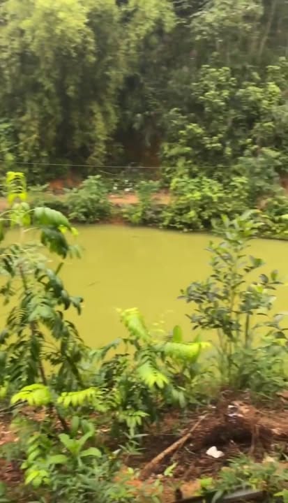 Đất nền Minh Đài, Tân Sơn 3000m² - Cách đường nhựa chỉ 400m!