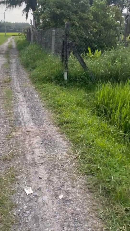 Đất nền Tân Phú, Đức Hòa 170m² giá chỉ 600 triệu - Đầu tư sinh lời ngay!