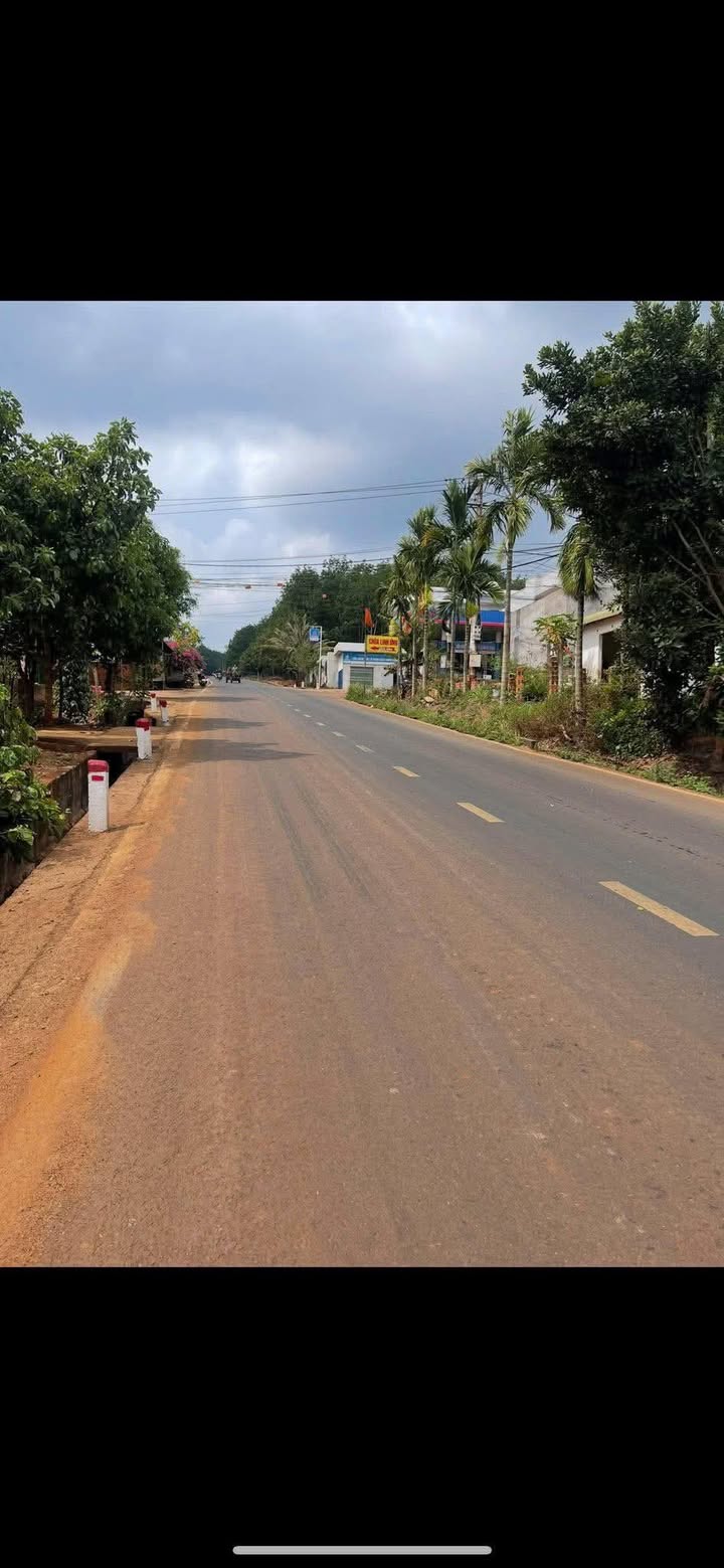 Đất thổ cư mặt tiền tỉnh lộ 15, Ea H'leo - 650m² giá 6.486 tỷ - Cơ hội đầu tư hiếm có!