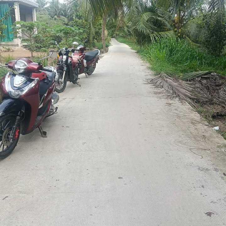 Đất vườn dừa 1.7 công tại An Ngãi Trung, Ba Tri - Giá chỉ 520 triệu