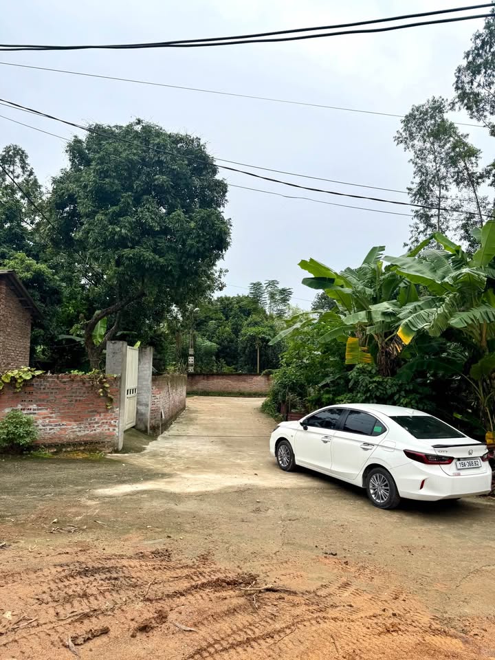 Đất nền Khu Quế Trạo, Việt Trì 102m² giá chỉ 1.2 tỷ - Cơ hội đầu tư hấp dẫn!