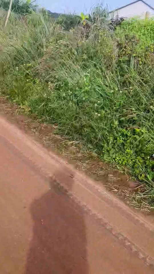 Đất nền Tân Hà Lâm Hà 6000m² giá 3.5 tỷ - Sổ đỏ chính chủ