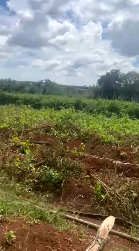 Đất nền 6000m² xã N'Thol Hạ, huyện Đức Trọng - Giá tốt, sổ đỏ chính chủ!