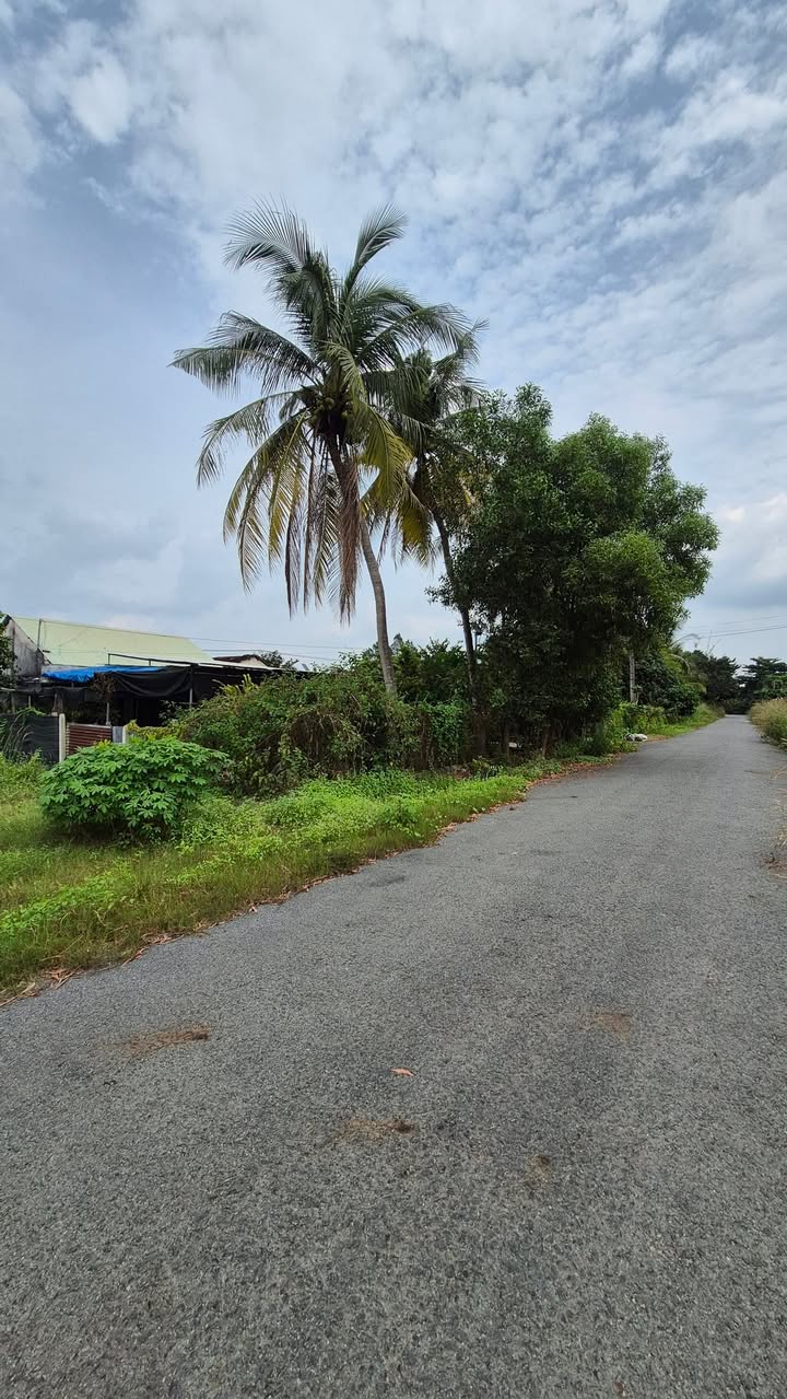 Đất đẹp Trường Lưu, Long Hoa, Tây Ninh 265m² giá 680 triệu - Đầu tư sinh lời ngay!