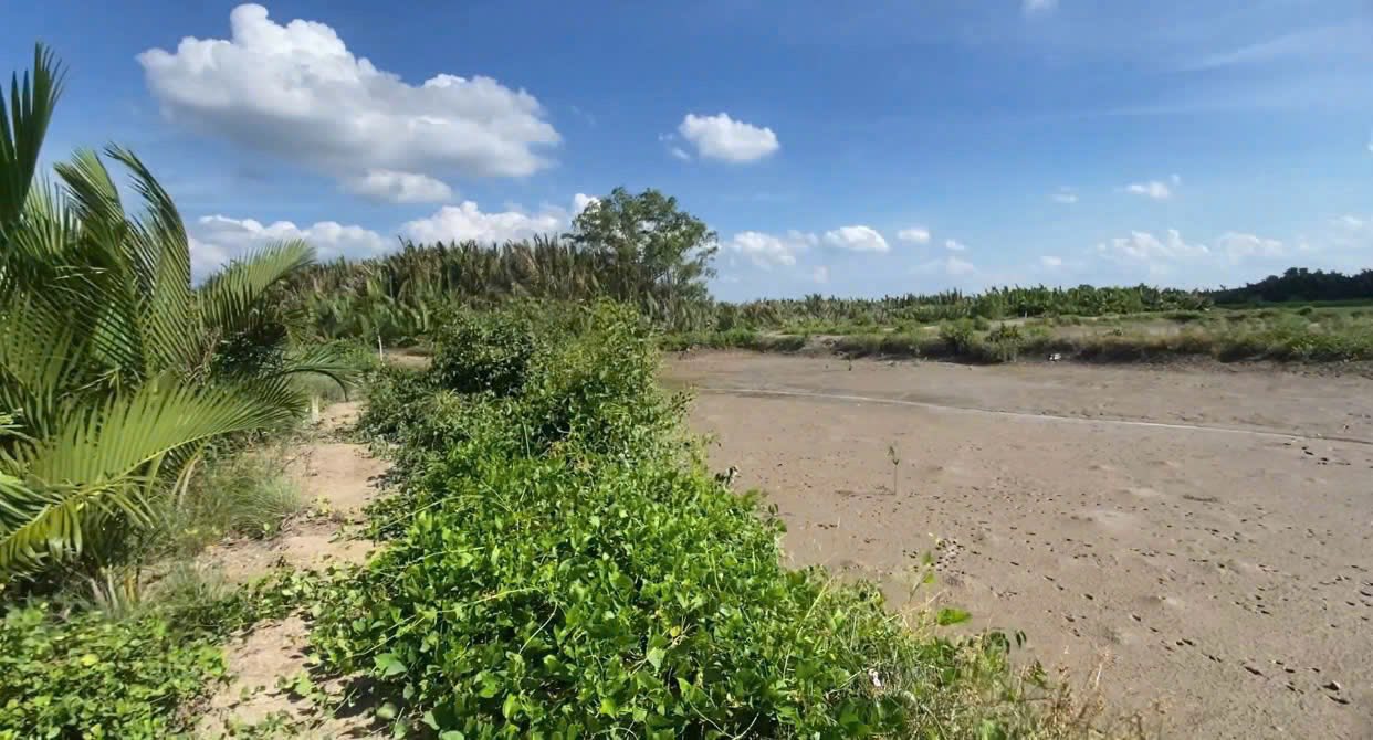 Đất nông nghiệp 1000m² chính chủ tại Bình Khánh, Cần Giờ - Tiềm năng đầu tư lớn!