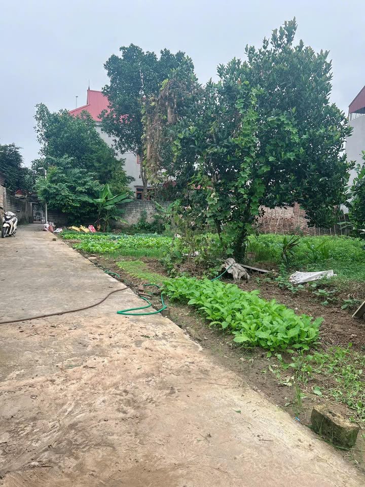 Đất thổ cư tại thôn Chàng, Tự Lạn 120m² giá chỉ 600 triệu - Tiện ích đầy đủ!