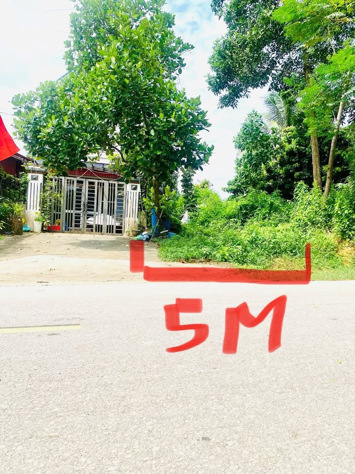 Đất nền Xuân Lương, Yên Thế, Bắc Giang 80m² giá chỉ 700 triệu - Cơ hội đầu tư tuyệt vời!