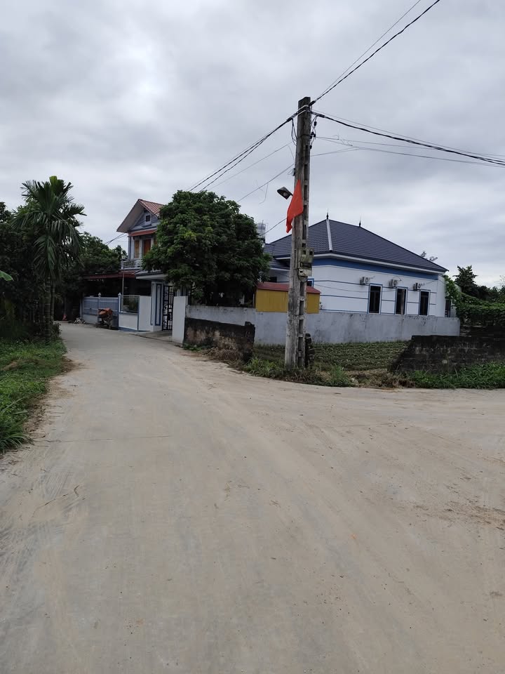 Đất thổ cư 3600m² tại Quang Trung, Tân Yên - Giá chỉ 800 triệu!