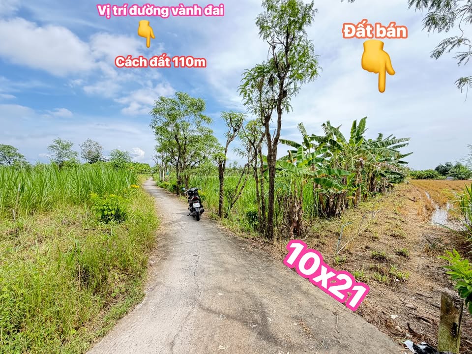 Đất nền Hưng Phú, Gò Công 200m² giá 680 triệu - Đường thông nhiều hướng!