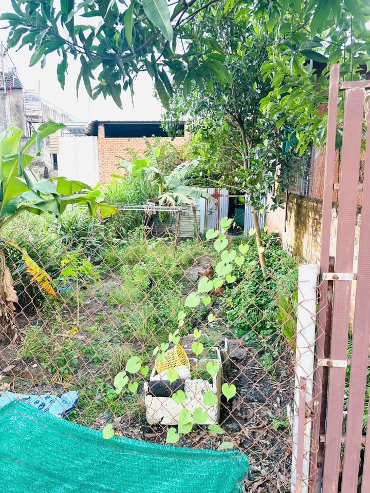 Đất nền Trảng Dài, Biên Hòa 90m² giá 700 triệu - Sổ hồng chính chủ, xe hơi vào tận nơi!