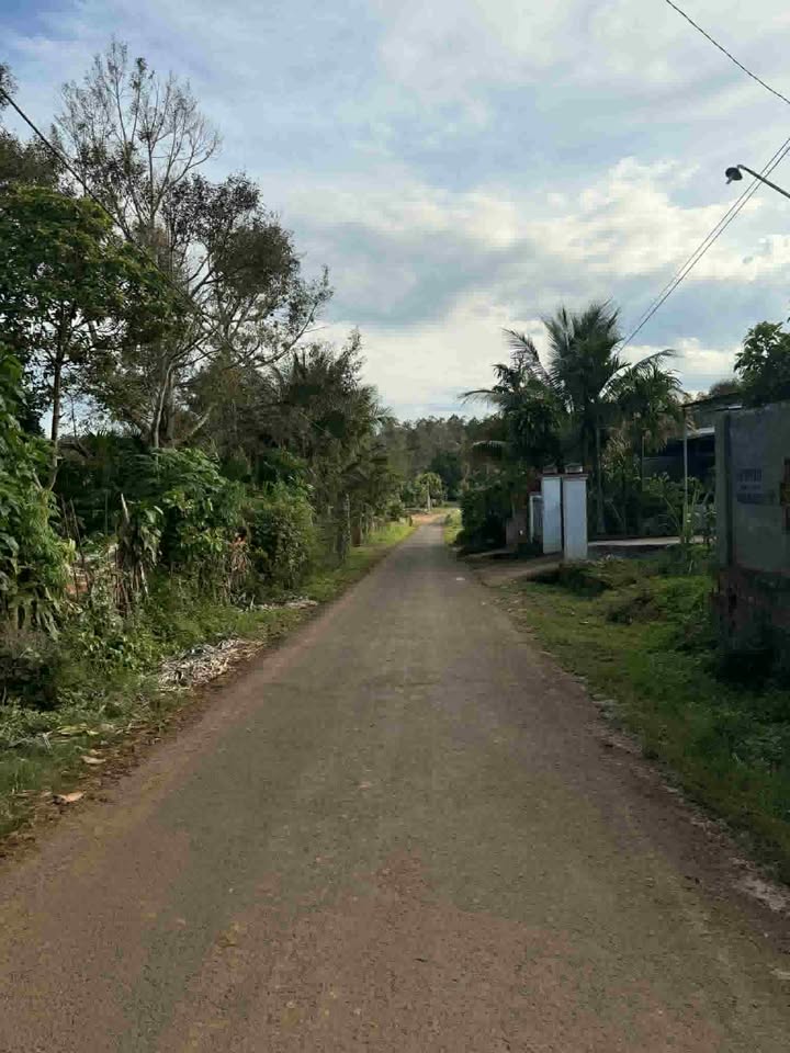 Đất thổ cư 210m² Đắk Mil - Mặt đường nhựa, vị trí đẹp cho đầu tư!