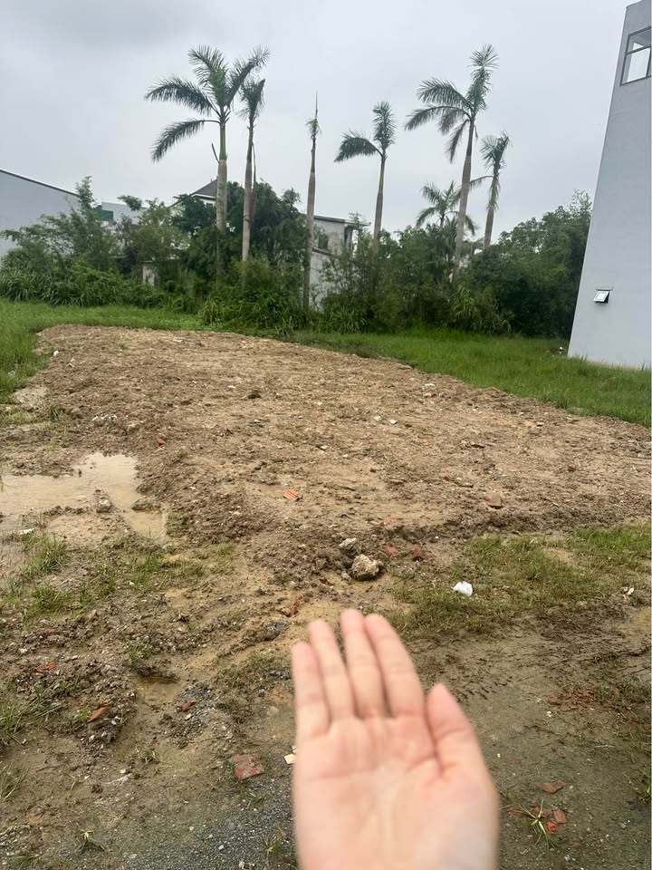 Đất nền Nghi Kim 91,4m² giá 2.3 tỷ - Gần UBND Vinh Hưng, vị trí đắc địa!