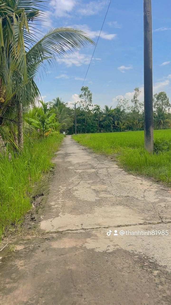 Đất nền Trường Khánh Sóc Trăng 10000m² giá 110 triệu - Đầu tư sinh lời lâu dài!