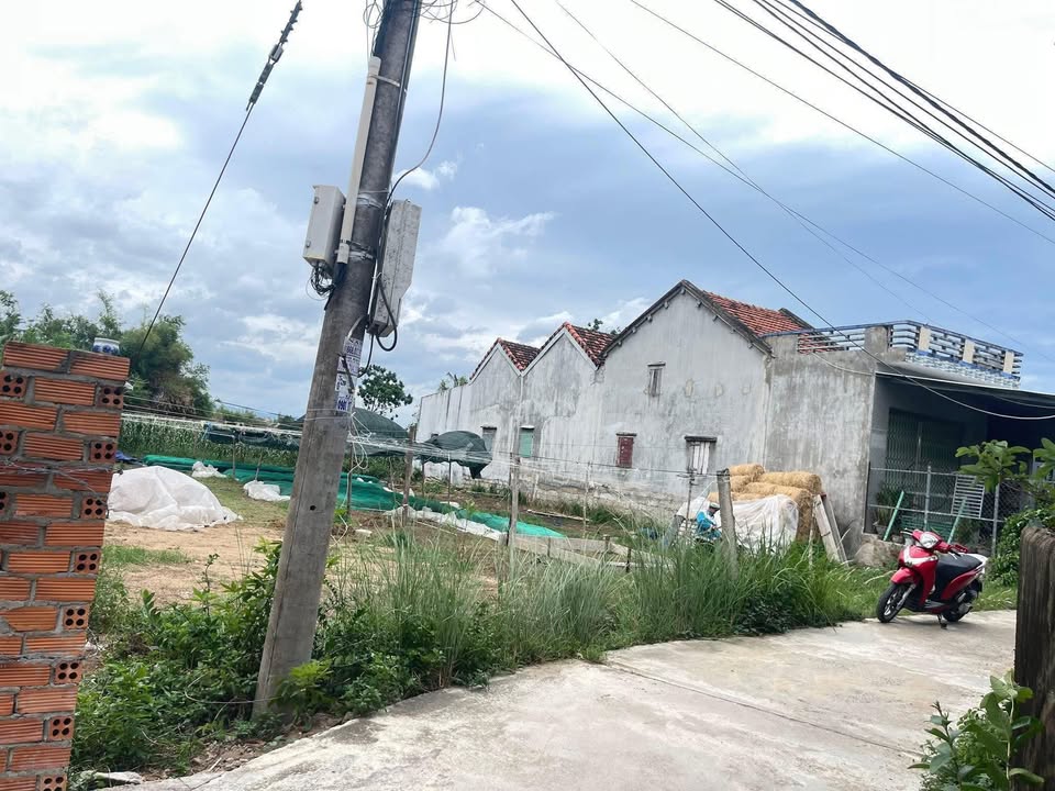 Đất nền Phú Lâm 208m² giá 990 triệu - Đầu tư sinh lời ngay!