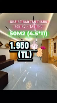Nhà bán gấp đường Bờ Bao Tân Thắng, Sơn Kỳ, 50m² giá 1.95 tỷ - Sẵn sàng vào ở ngay!