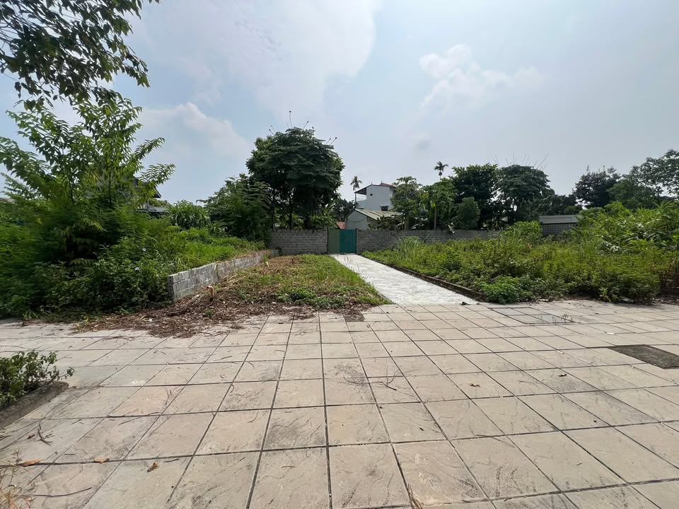 Đất nền Lương Sơn 50m² giá chỉ 1 tỷ - Lô góc 2 mặt tiền đẹp