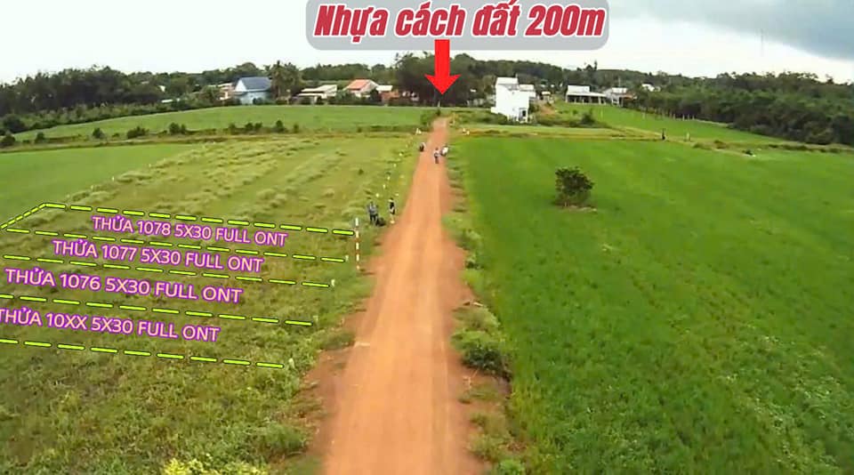 Đất thổ cư Dương Minh Châu 152m² giá chỉ 289 triệu - Gần khu công nghiệp Bến Củi!