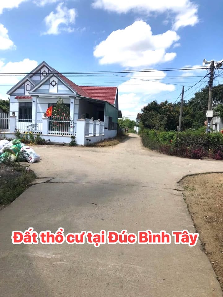Đất thổ cư xã Đức Bình, Đăk Lăk - Diện tích 570m² giá chỉ từ 300 triệu!