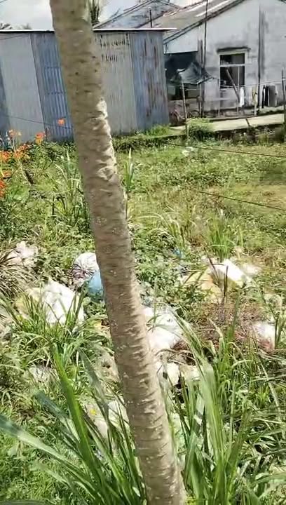 Đất mặt tiền Quốc lộ 54, xã Phước Hưng, 2666m² chỉ 3.6 tỷ - Cơ hội đầu tư tuyệt vời!