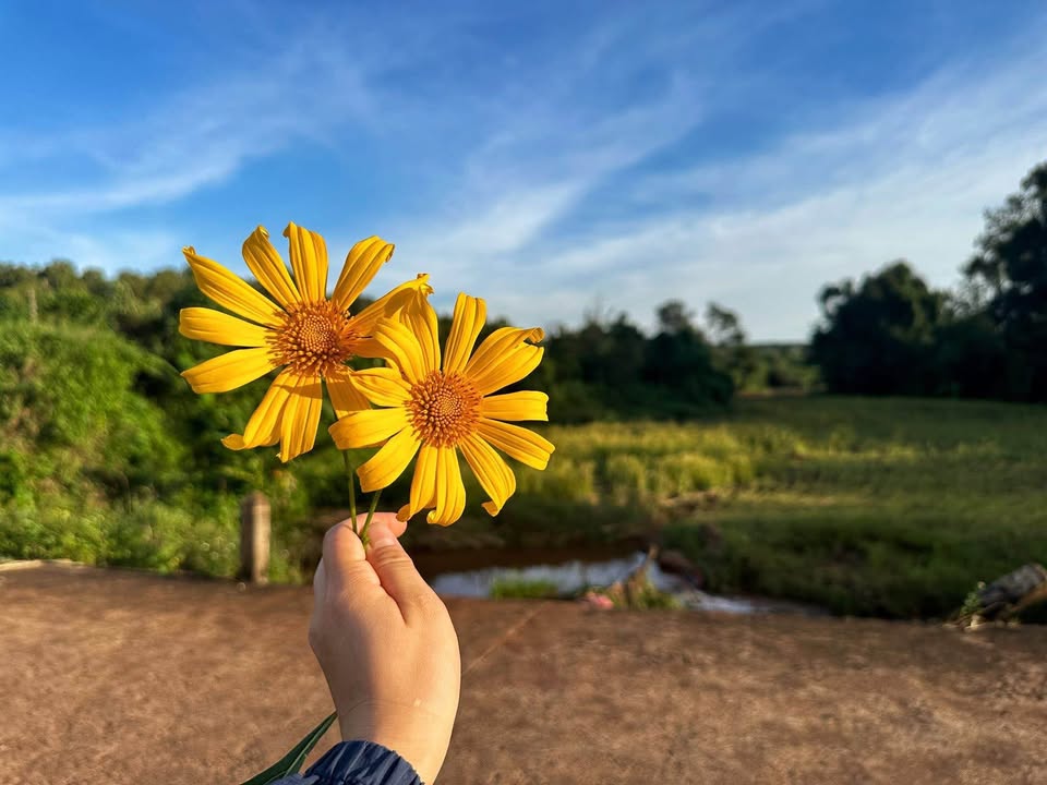 Đất Tiến Thắng Lý Nhân 160m² giá 1 tỷ - Vị trí 3 mặt thoáng, view vườn hoa!