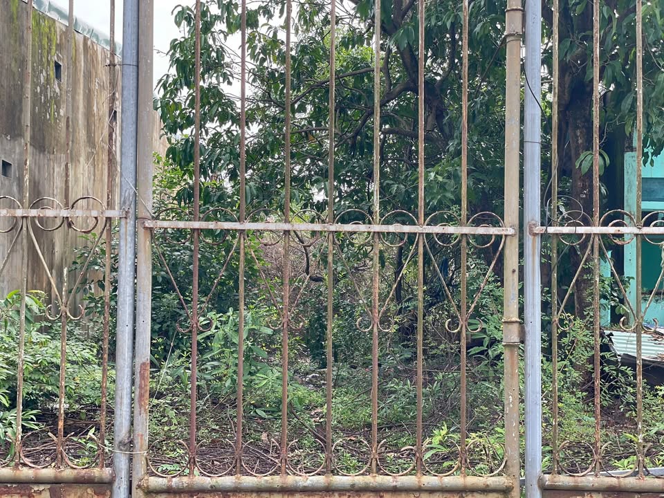 Đất nền KDC Hòa Thuận, Tam Kỳ 147m² chỉ từ 2 tỷ - Đối diện công viên xanh!