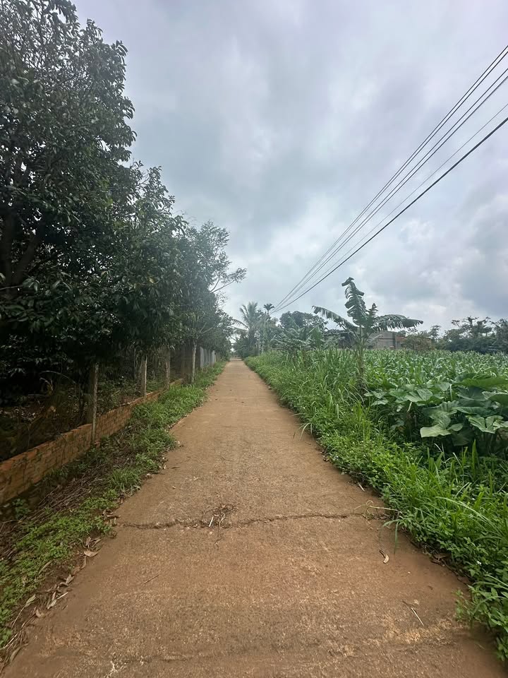 Đất nền Cư Bao, Buôn Hồ 150m² giá chỉ 400 triệu - Sổ hồng chính chủ, đầu tư sinh lời!