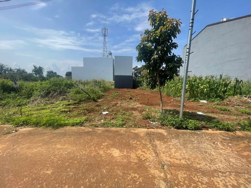 Lô đất Nguyễn Huệ, Tân Lợi 100m² giá 2.69 tỷ - Pháp lý rõ ràng, tiện ích đầy đủ!