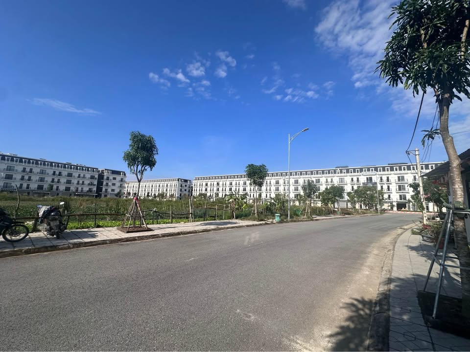 Đất nền 175m² view Hồ Sen - Quảng Thành giá 2 tỷ 5 - Đầu tư sinh lời lý tưởng!