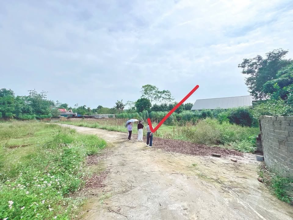 Đất nền Tiên Kiên - Lâm Thao 111m² giá 550 triệu - Cơ hội đầu tư tuyệt vời!