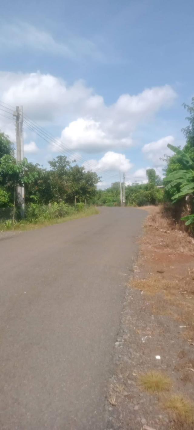 Đất nền Thiện Hưng, Lộc Ninh 550m² giá chỉ 450 triệu - Đầu tư sinh lời ngay!