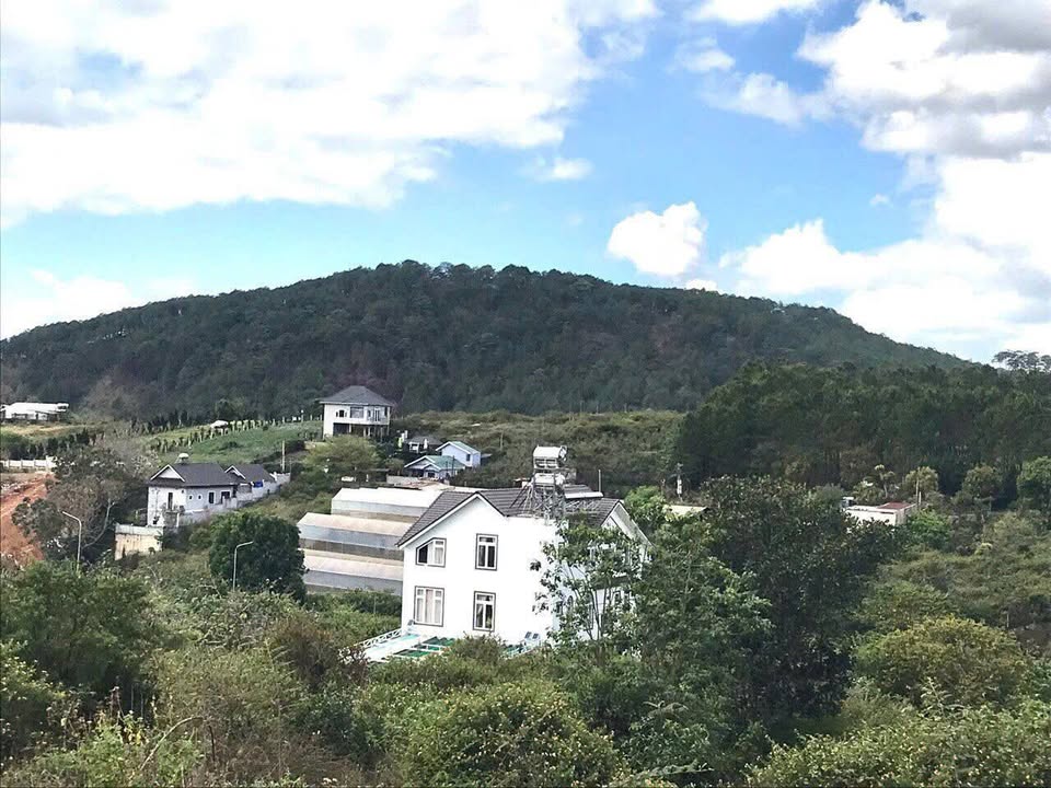 Đất thổ cư Đà Lạt 220m² giá 5 tỷ - View rừng thông thoáng đẹp!