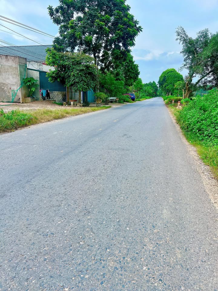 Đất nền Cẩm Tân 276m² giá tốt - Cơ hội đầu tư hiếm có!