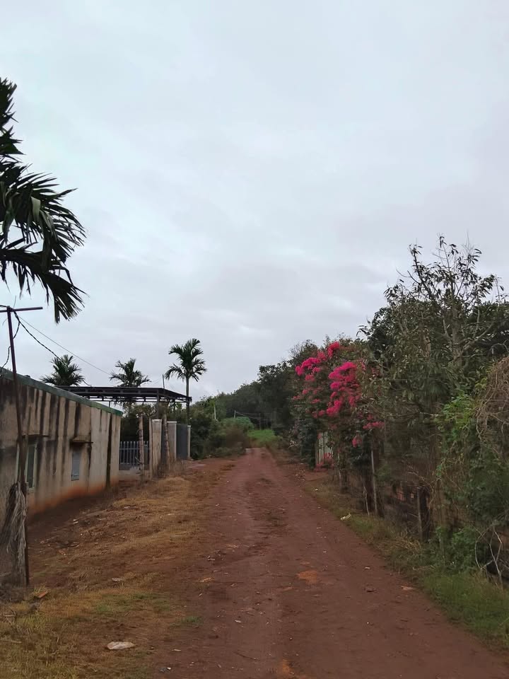 Đất nền Phú Lộc, Krông Năng 180m² chỉ 650 triệu - Cơ hội đầu tư tuyệt vời!