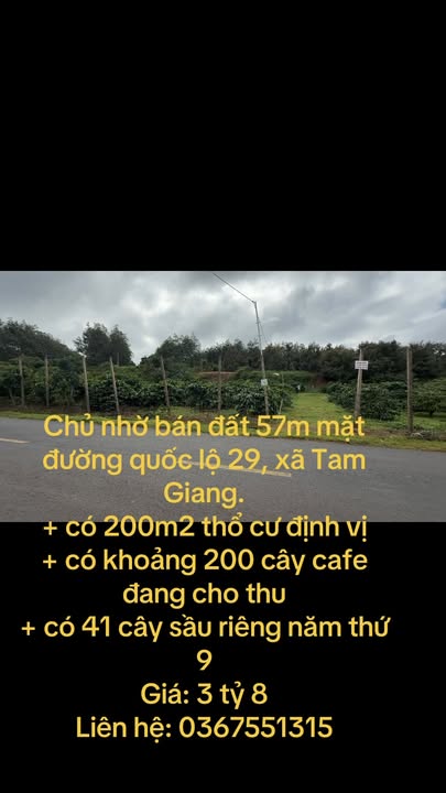 Đất thổ cư 57m² mặt đường Quốc lộ 29, xã Tam Giang - Giá 3.8 tỷ, đầu tư sinh lời!