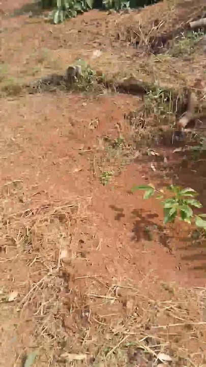 Đất nền Krông Nô 38m² - Vị trí đẹp, tiềm năng sinh lời!