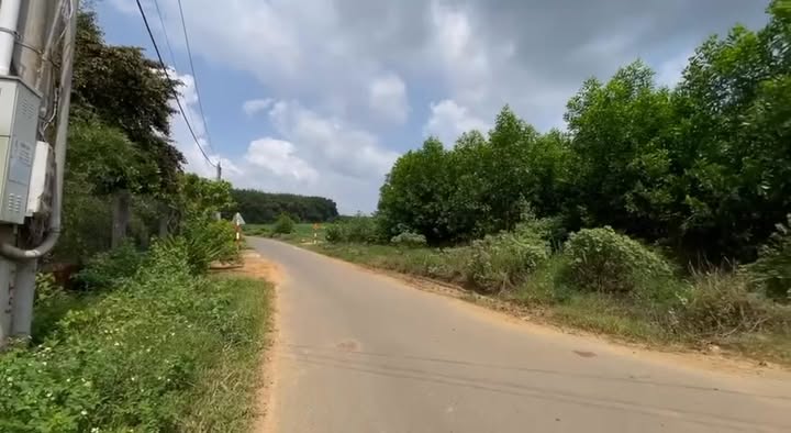 Đất nông nghiệp 8,2ha tại Phước Bình - Đồng Nai - Phù hợp cho mô hình nông nghiệp công nghệ cao!