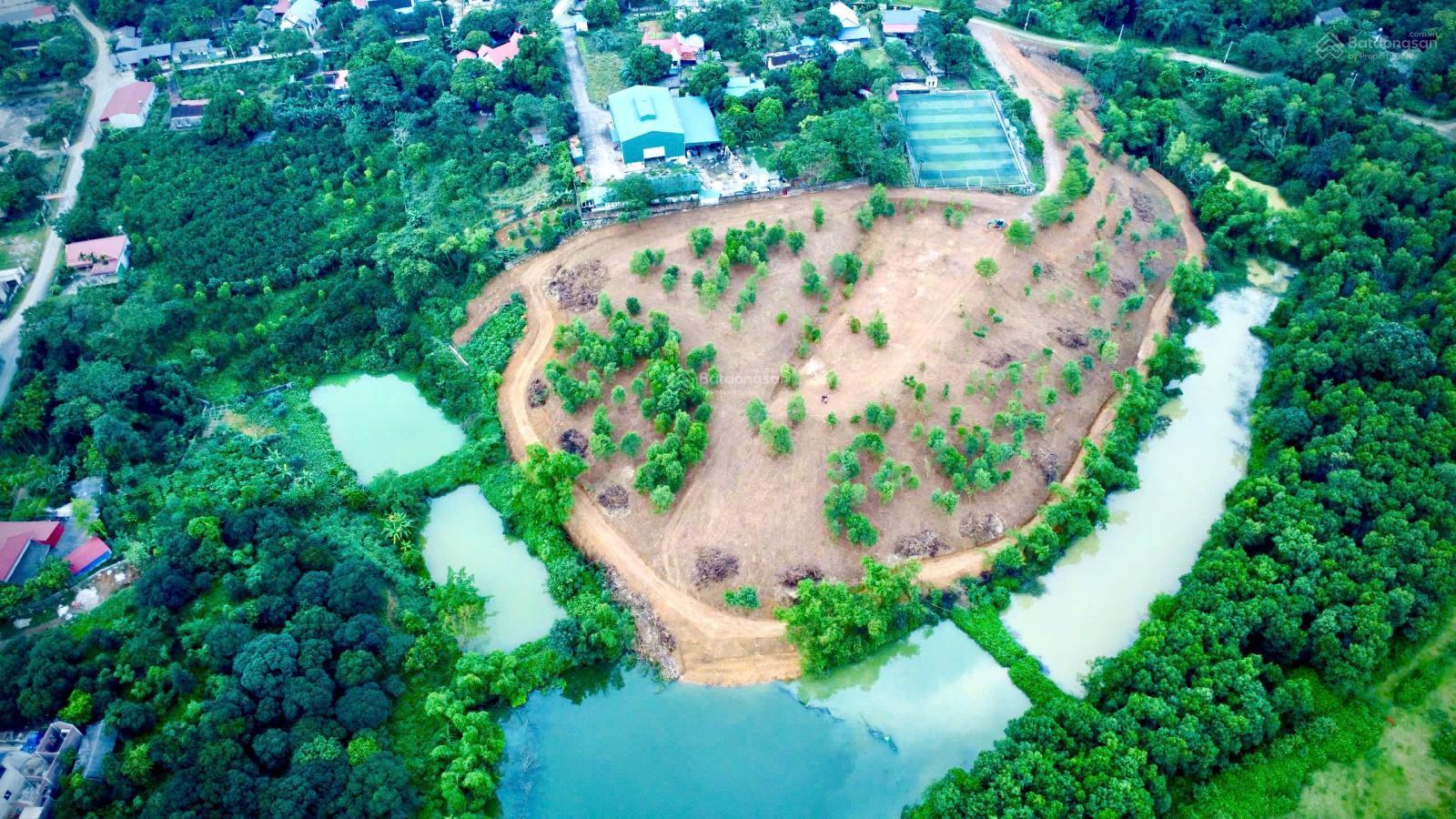 Đất mặt hồ Liên Sơn 19000m² giá 30.4 tỷ - Đầu tư siêu lợi nhuận!