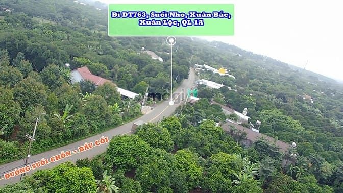 Bán Đất Thổ Cư Mặt Tiền Đường Nhựa Suối Chồn-Bầu Cối, Bảo Vinh, Đồng Nai 213,7m² - Đầu Tư Tiềm Năng Cao!