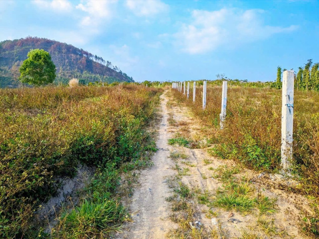 Đất mặt tiền 7 sào tại KDL Thác Pongour, Đức Trọng, Lâm Đồng - Đầu tư nghỉ dưỡng lý tưởng!