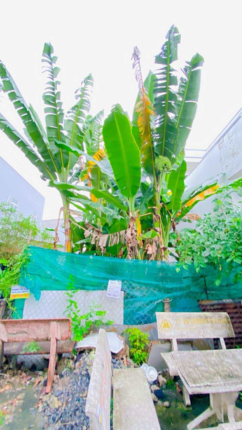 Bán đất biệt thự 150m² hẻm 50 đường Trần Hoàng Na - Sổ hồng chính chủ, giá tốt!