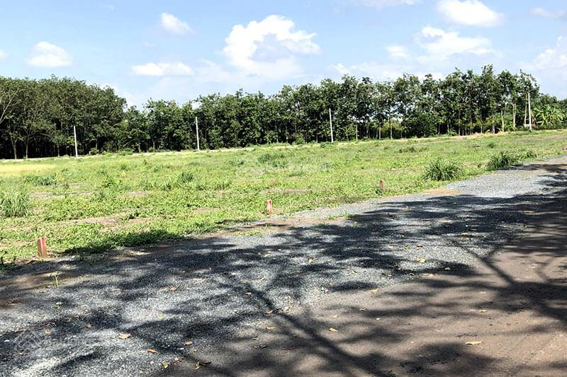 Đất trồng cây lâu năm 1.500m² tại Tân Nhựt, Bình Chánh chỉ 4 triệu/tháng - Vị trí thuận lợi, giao thông dễ dàng!