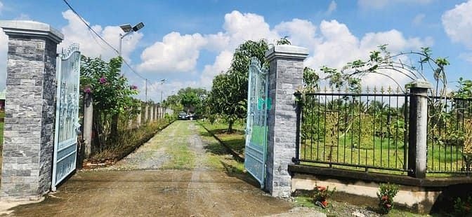 Nhà vườn kèm khu trang trại An Nhựt Tân 7.300m² - Đã xây dựng hoàn thiện, giá 16.3 tỷ!