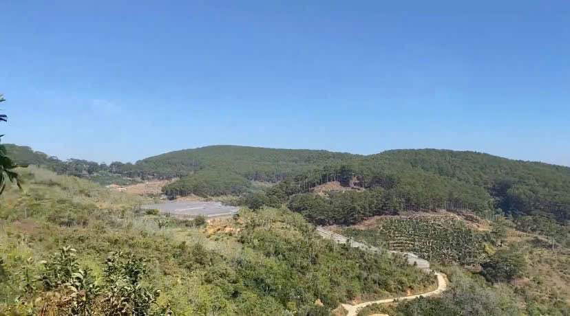 Đất nông nghiệp Xuân Trường Đà Lạt 1100m² giá 1.8 tỷ - View săn mây tuyệt đẹp!